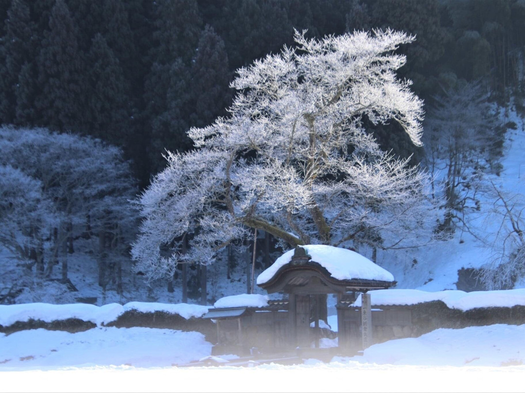 Ichijodani Asakurashi Ruin景点图片