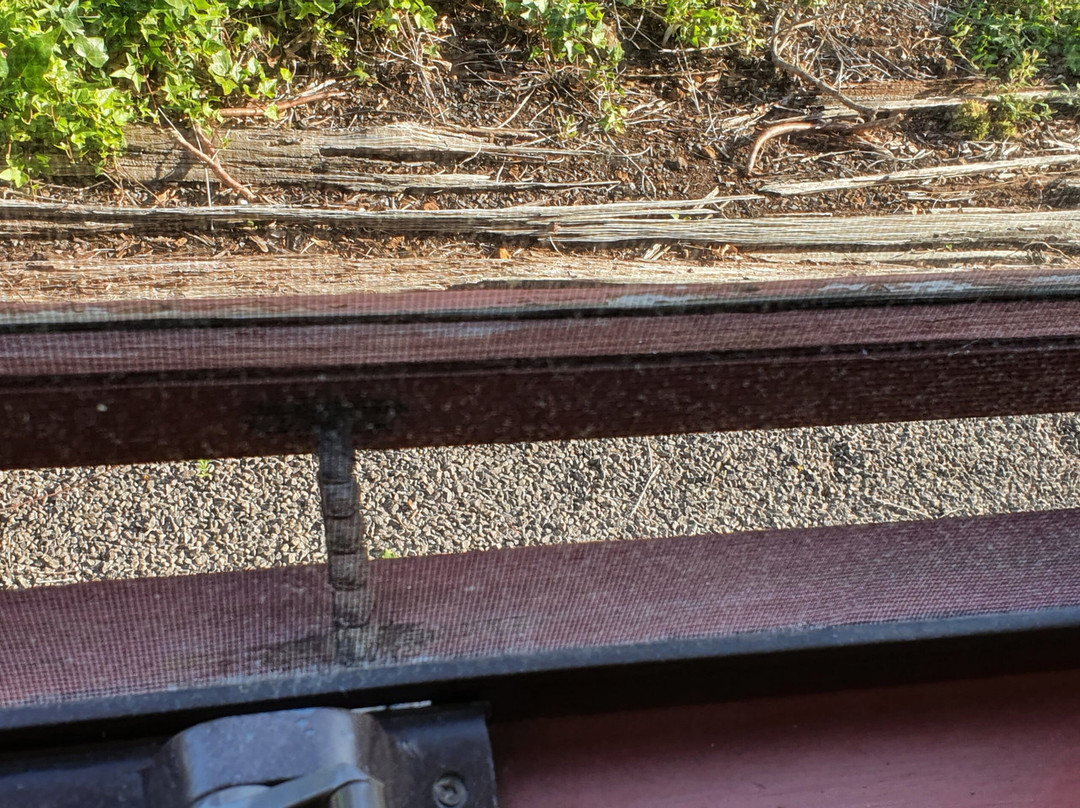 Whalers Rest Motor Inn主图