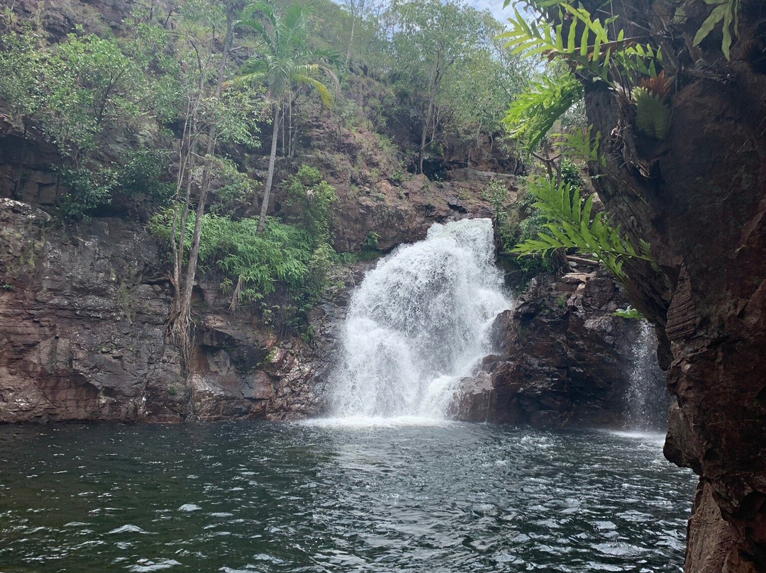 Litchfield Escapes-达尔文市必去景点