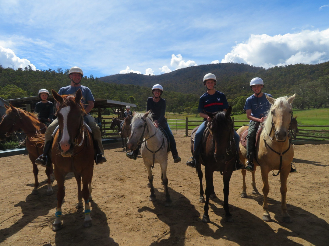 Thredbo Valley Horse Riding-Crackenback必去景点