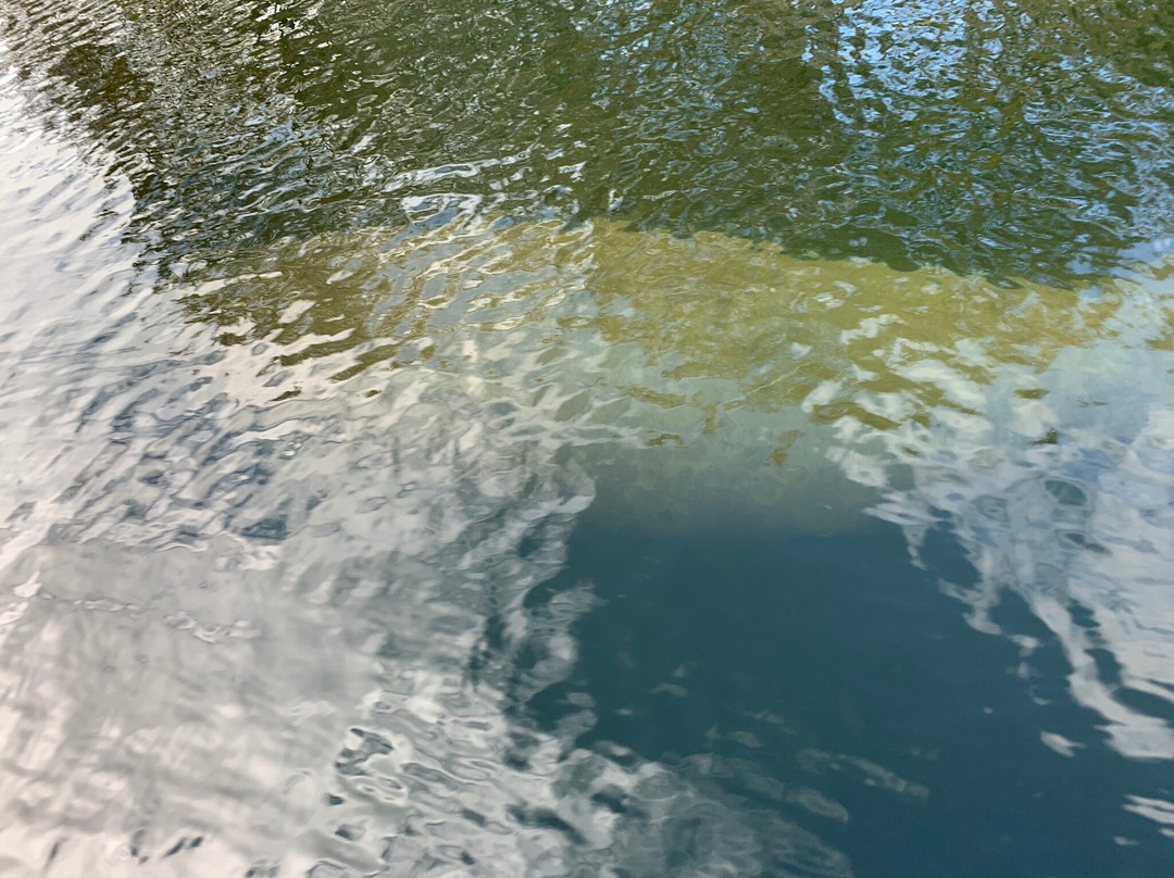 TNT Hideaway Day Tours-Crawfordville必去景点