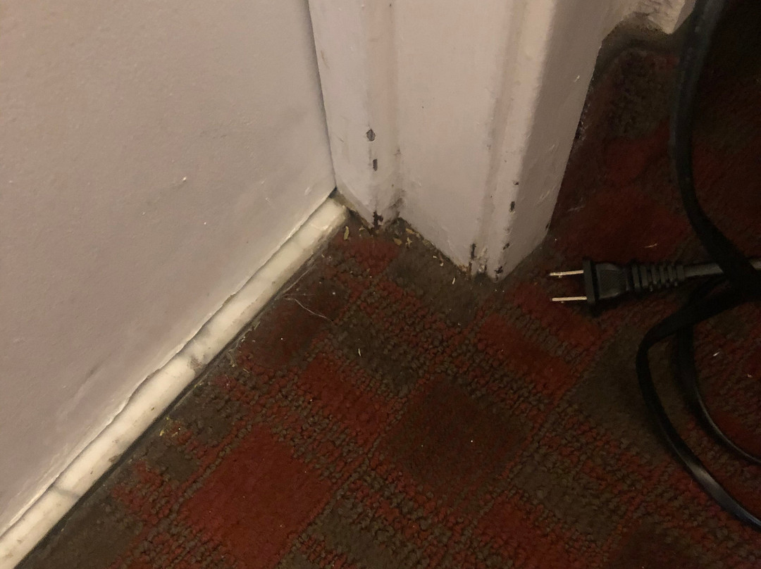 Days Inn by Wyndham Turlock主图