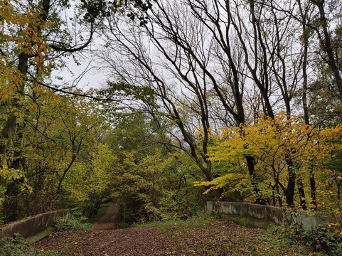 Wynyard Woodland Park-斯托克顿提斯必去景点