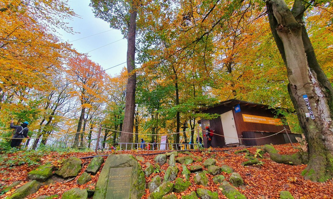 Kletterpark Detmold景点图片