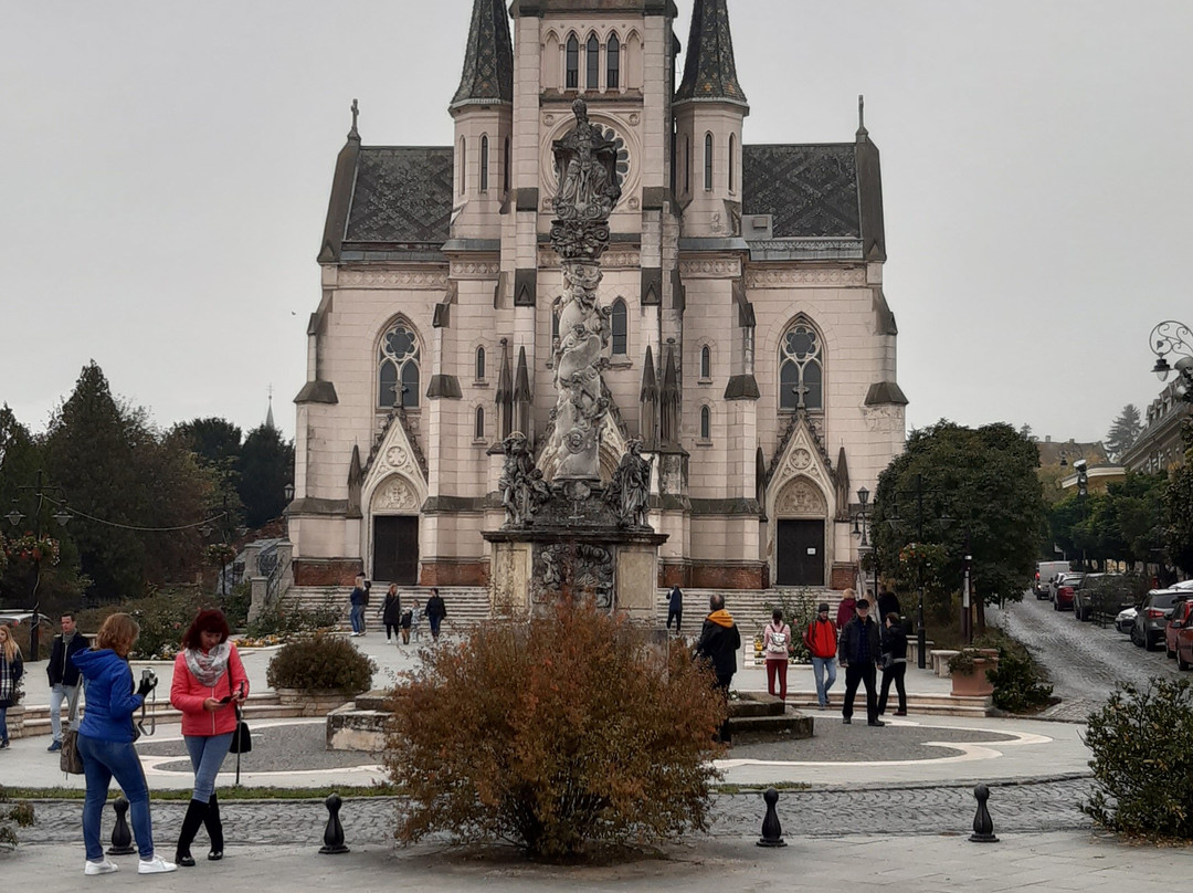 Jézus szíve templom (Herz-Jesu-Pfarrkirche)景点图片