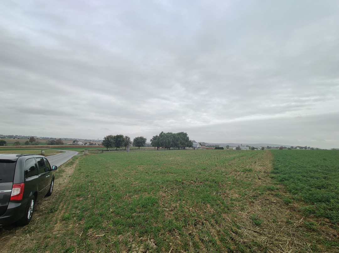 Old Order Amish Tours-Ronks必去景点