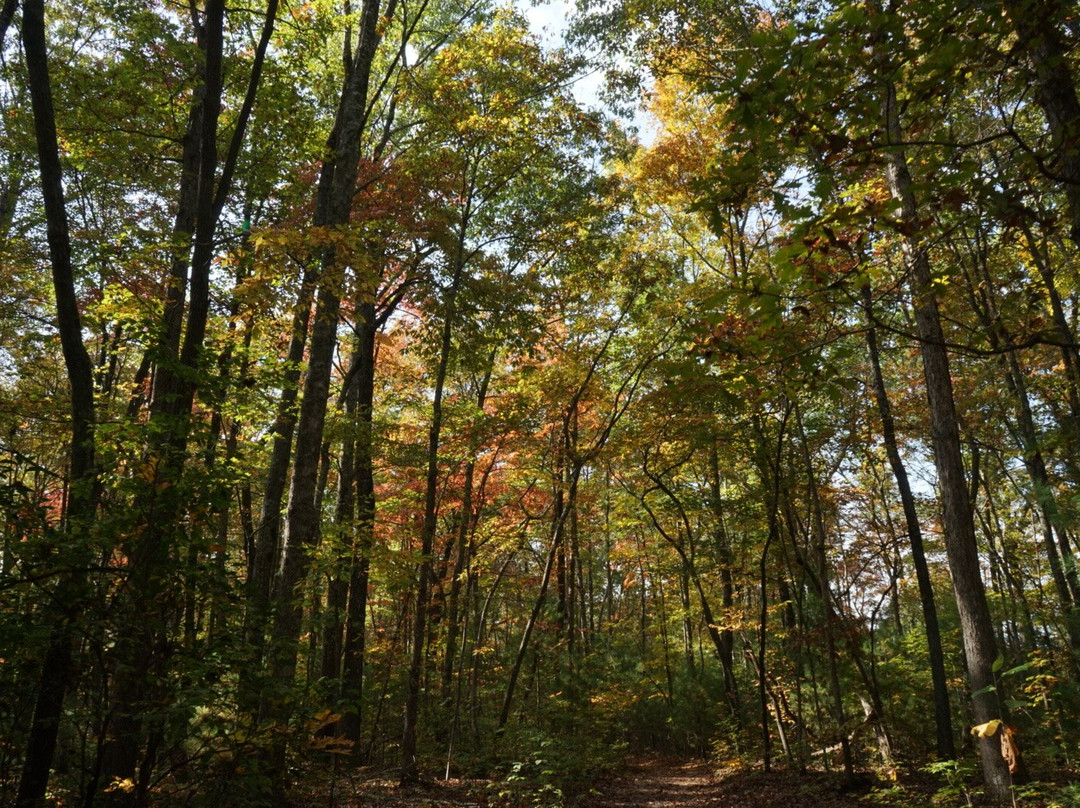 Piney Creek Falls-Spencer必去景点
