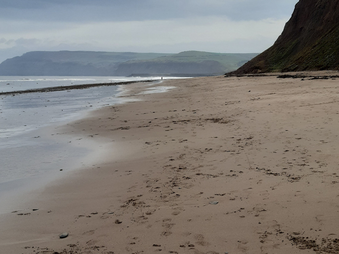 Cattersty Sands Beach景点图片