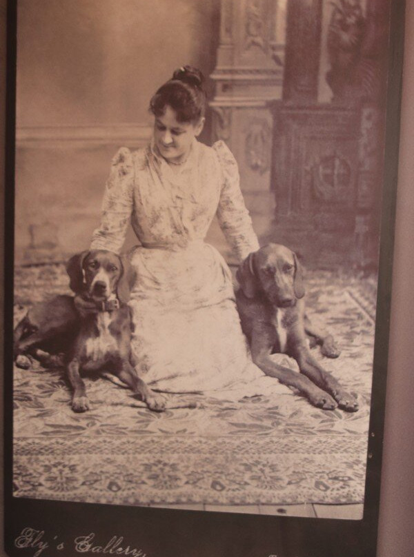 Camillus Fly's Photography Gallery