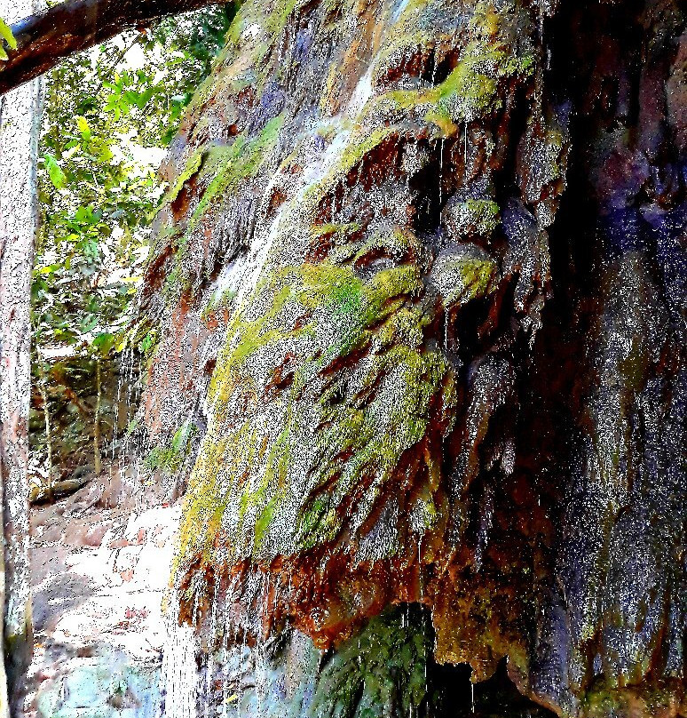 The Dales Hiking Trail-圣诞岛必去景点