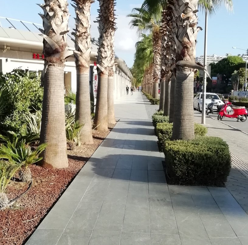 Setur Kusadasi Marina Carsi-库萨达斯必去景点