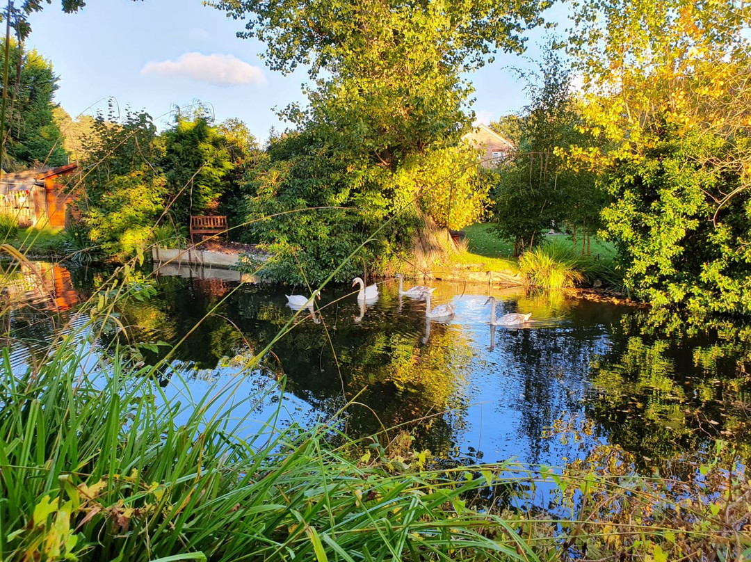 Basingstoke Canal景点图片
