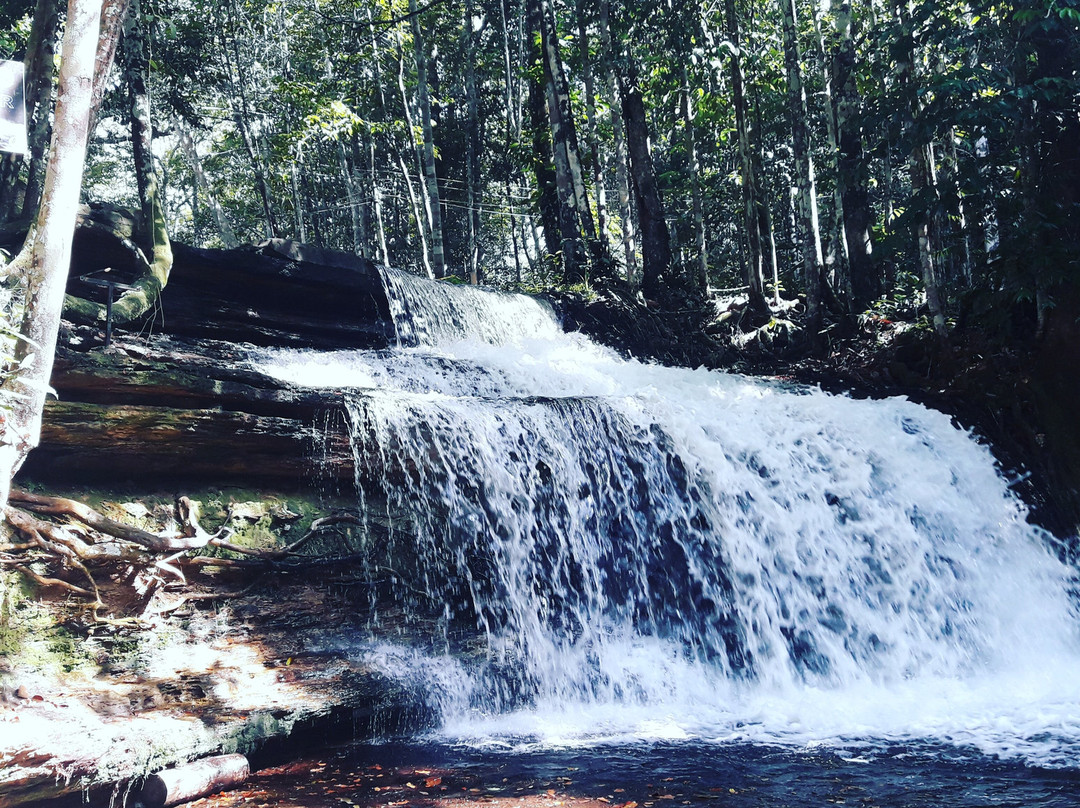Cachoeira Asframa-Presidente Figueiredo必去景点