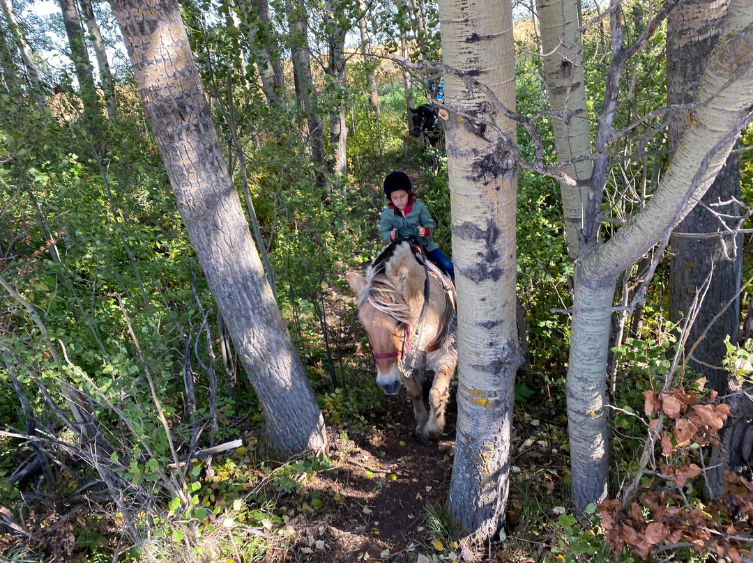 Thunder Ridge Trails Ranch-德文郡必去景点