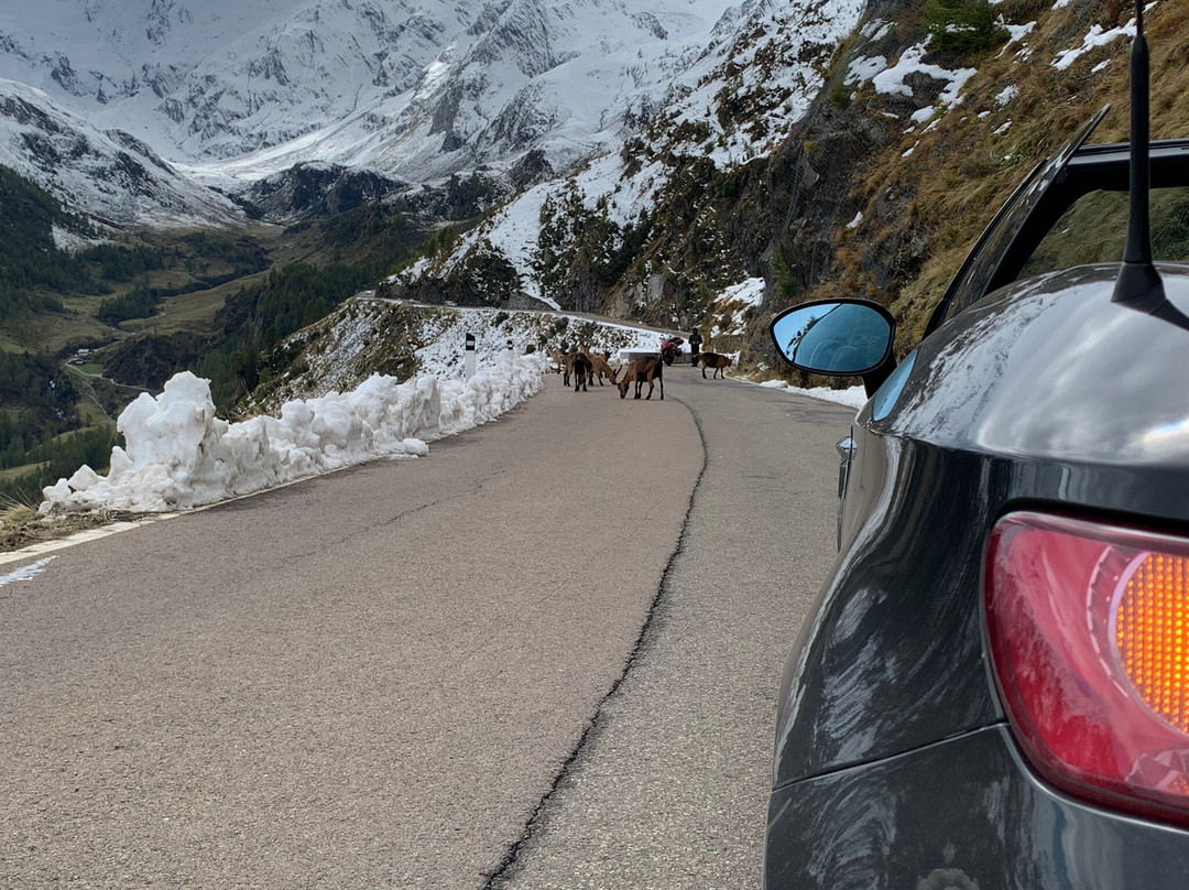 Timmelsjoch High Alpine Road-上古何格必去景点