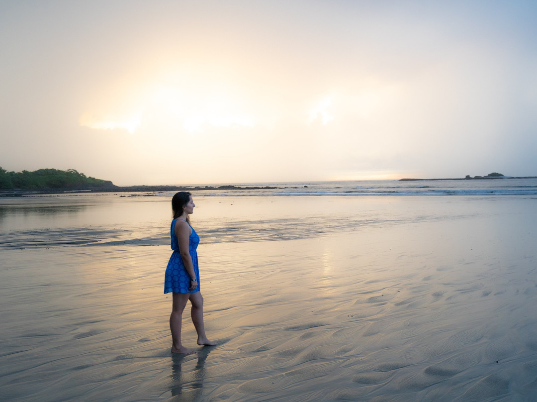 The Coast Beachfront Hotel主图