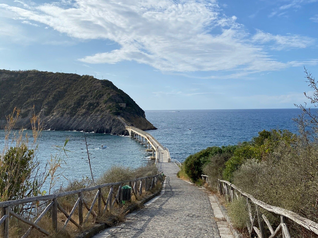 Riserva Naturale Statale Isola di Vivara景点图片