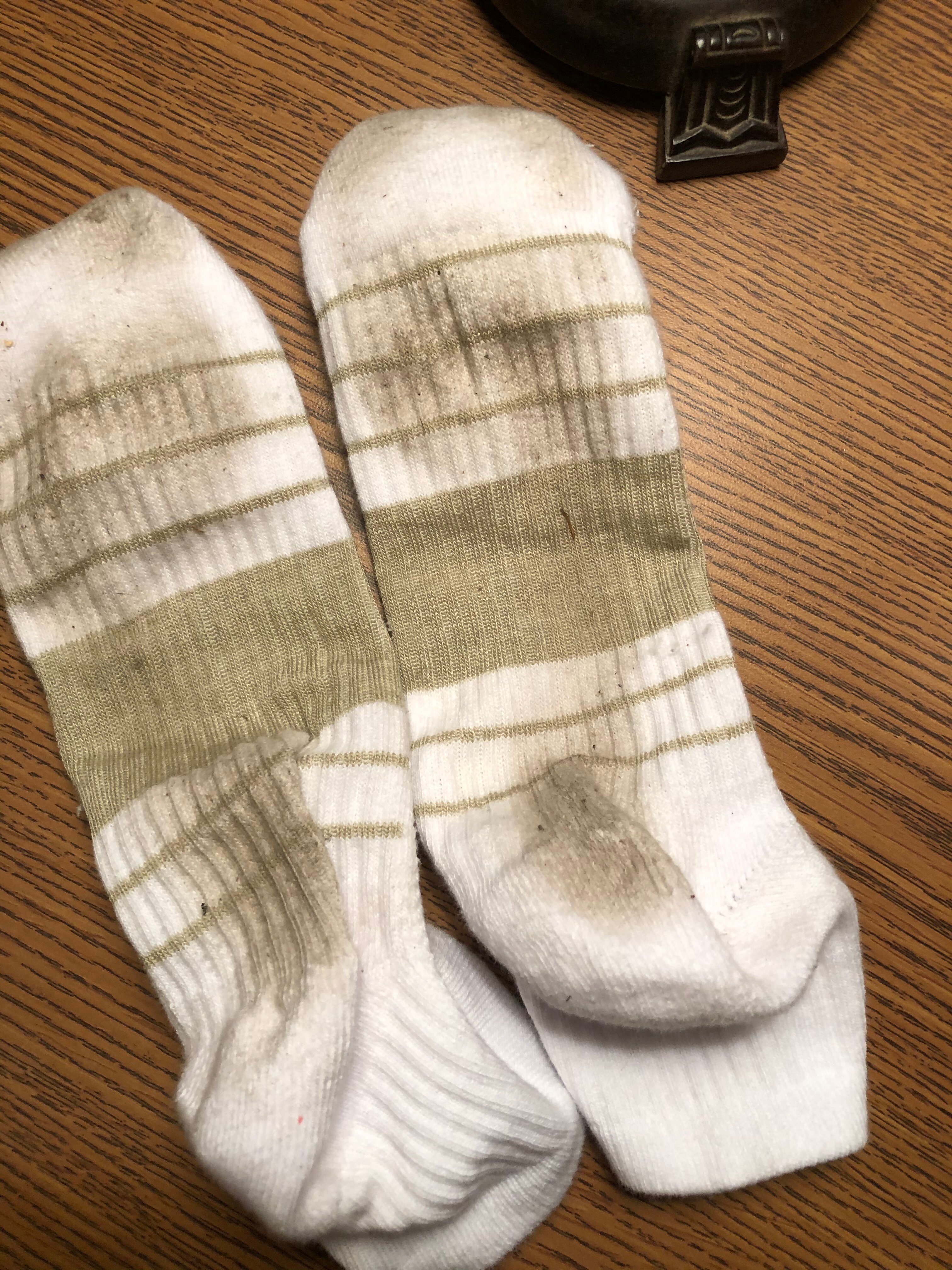 Elkhorn Lodge-官方