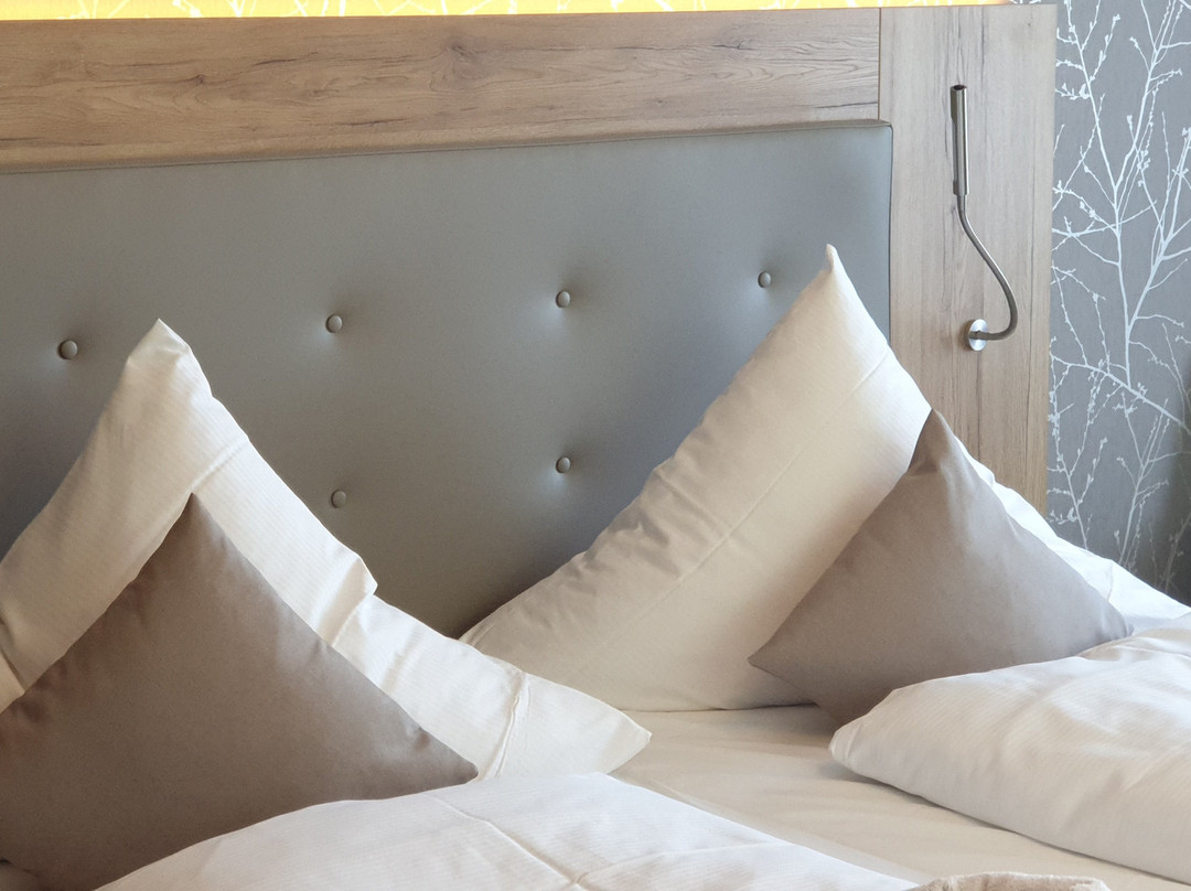 Schönenberger Hof主图