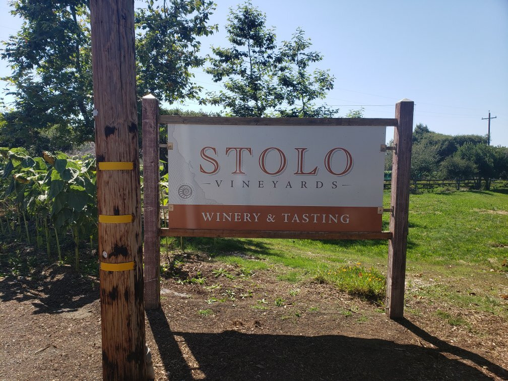 Stolo Vineyards & Winery景点图片