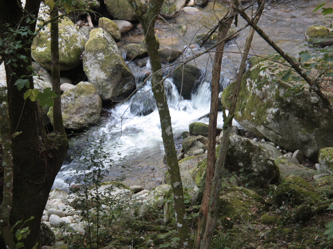 Pasarelas Del Río Mao - Ribeira Sacra景点图片