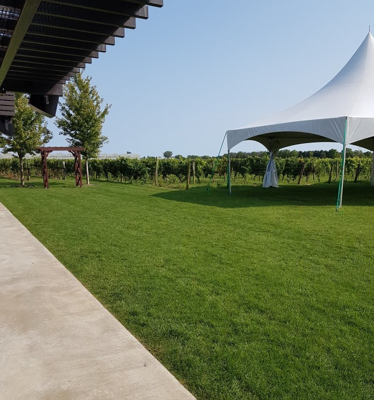 Mastronardi Estate Winery-Kingsville必去景点