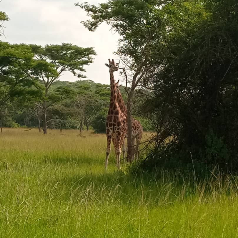Lake Mburo National Park-Mbarara必去景点