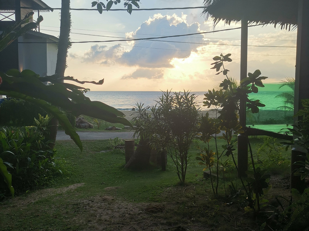 1511 Coconut Grove主图