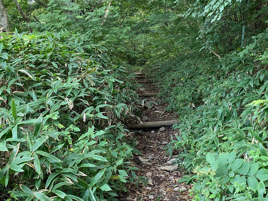 Mt. Meshimori-南牧村必去景点