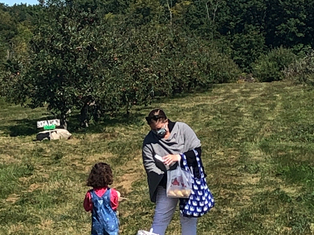 Twin Star Orchards-新帕尔茨必去景点