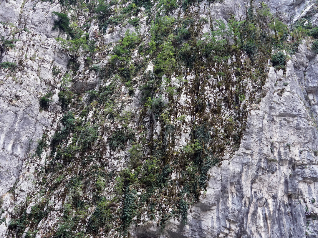 Yupsharskiy Canyon-Bzipi必去景点