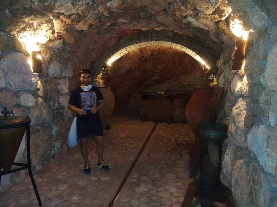 Bodega Cerron景点图片
