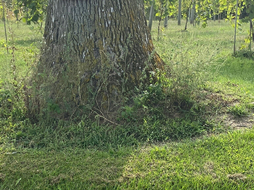 Carpenter Creek Cellars-Remington必去景点