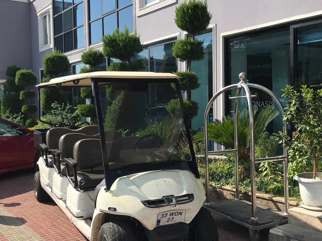 Wonasis Resort Hotel主图