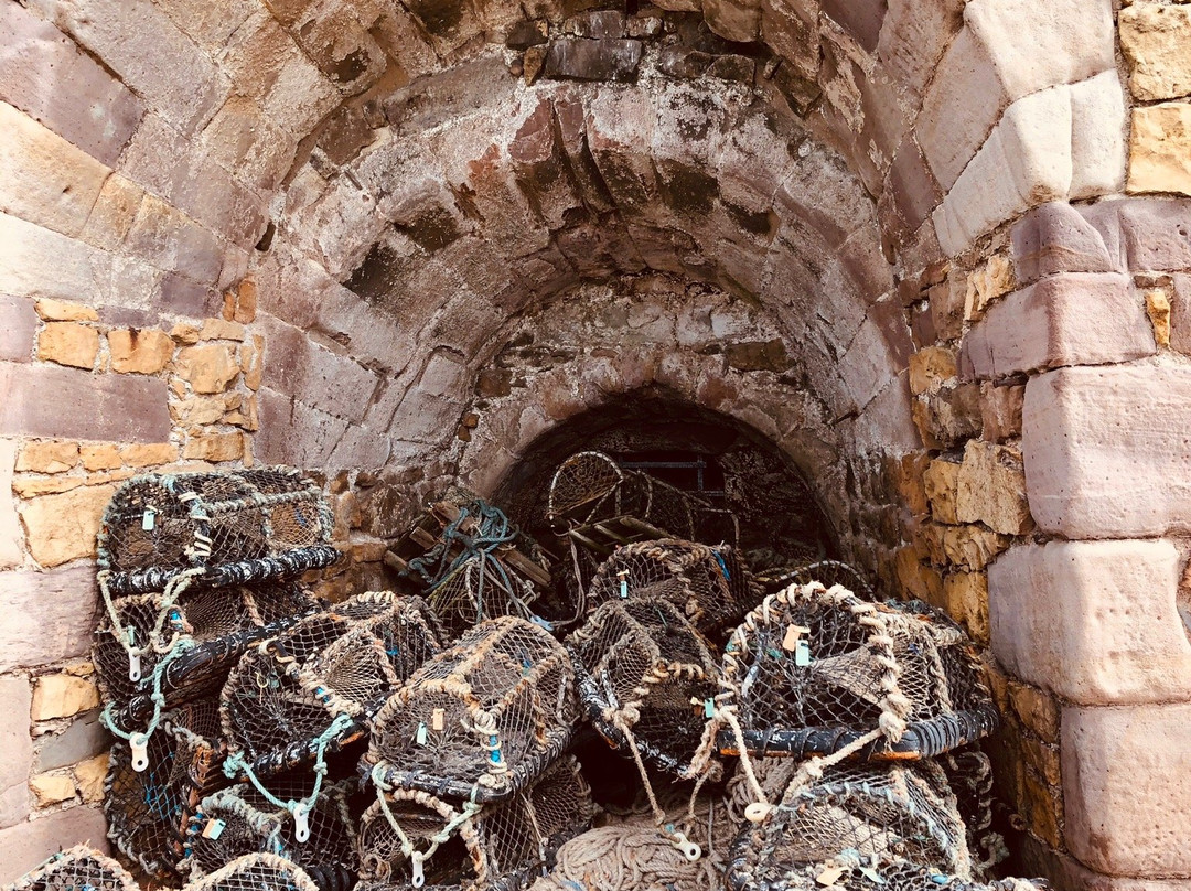 Beadnell Harbour and Lime Kilns景点图片