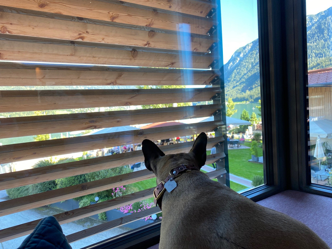 Seehotel Einwaller主图