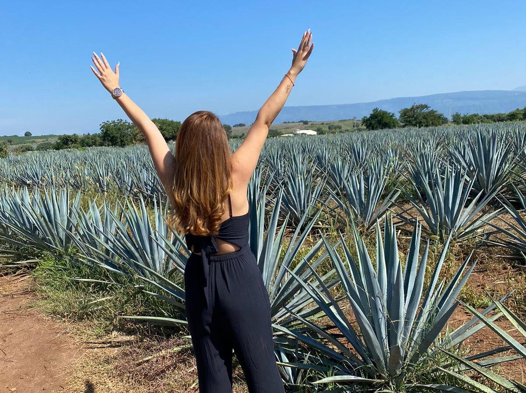 El Arenal旅游攻略图片