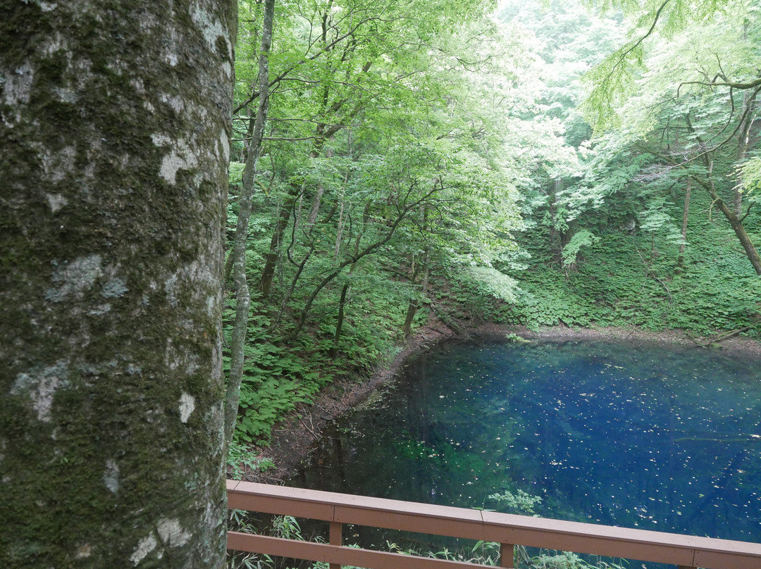 白神山地-东北部必去景点
