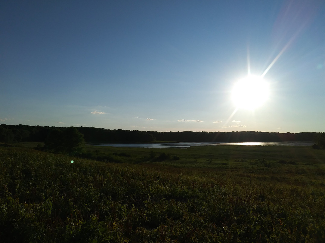 Elm Creek Singletrack Trail景点图片