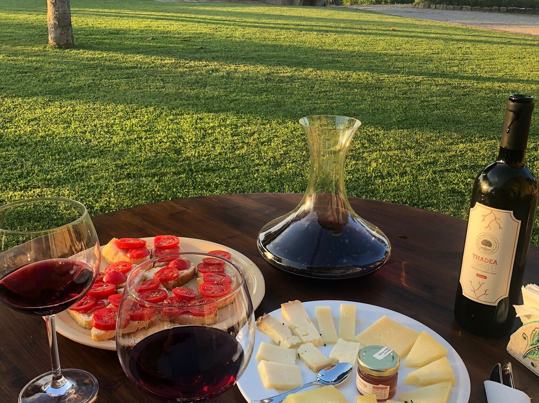 Agriturismo Le Cerque B&B主图