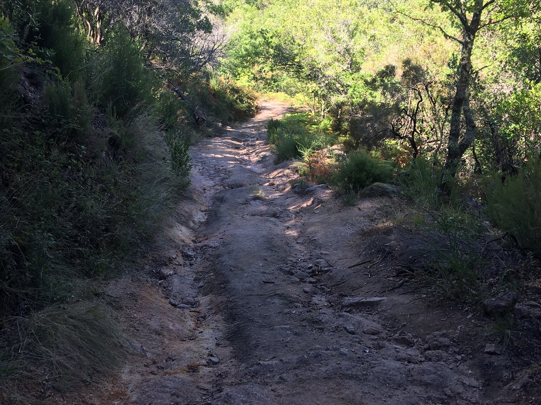 Cascata de Cela Cavalos景点图片