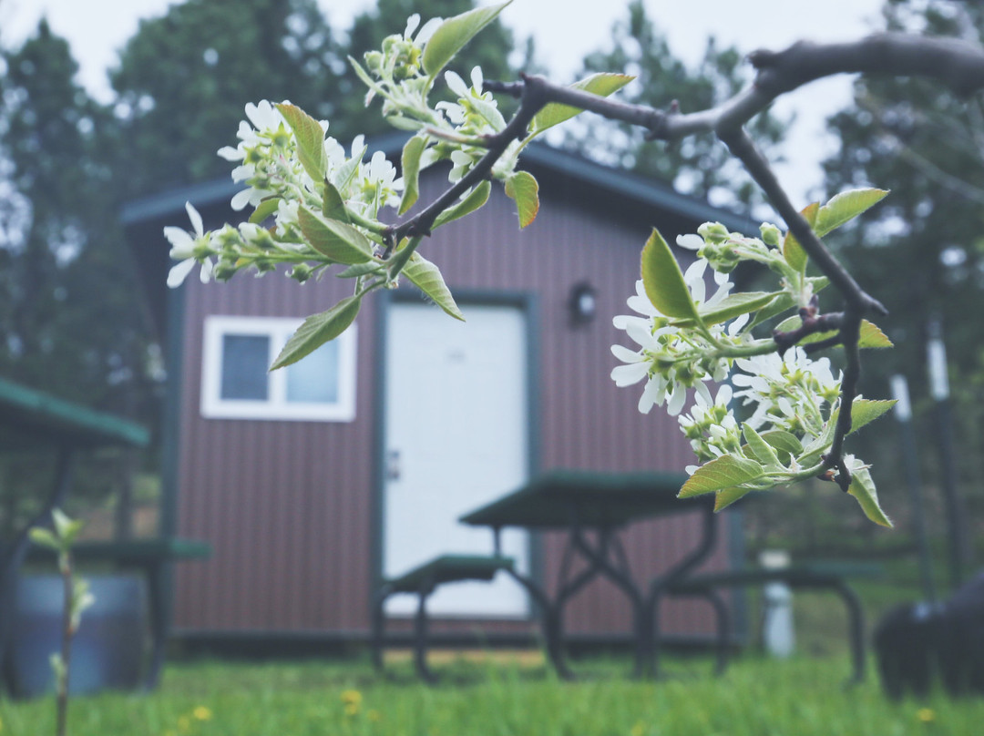 Firehouse Campground