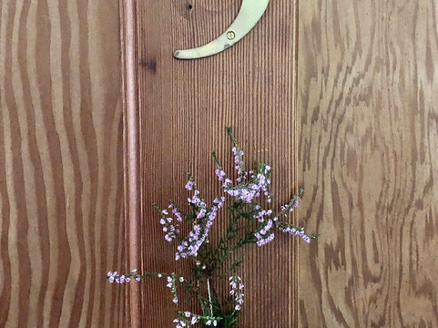 Glenan Lodge Self Catering Accommodation主图