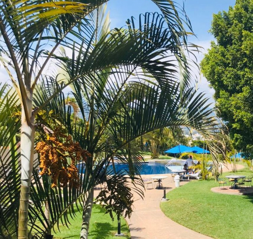 Villa Internacional de Tenis主图