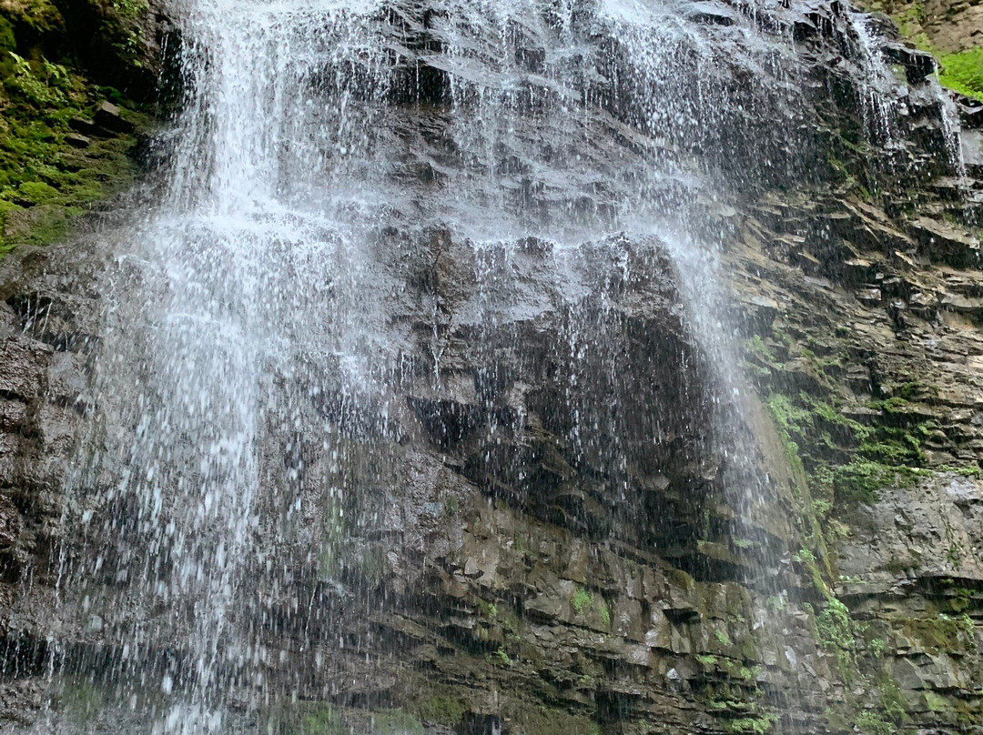 Tiffany Falls Conservation Area-安卡斯特必去景点