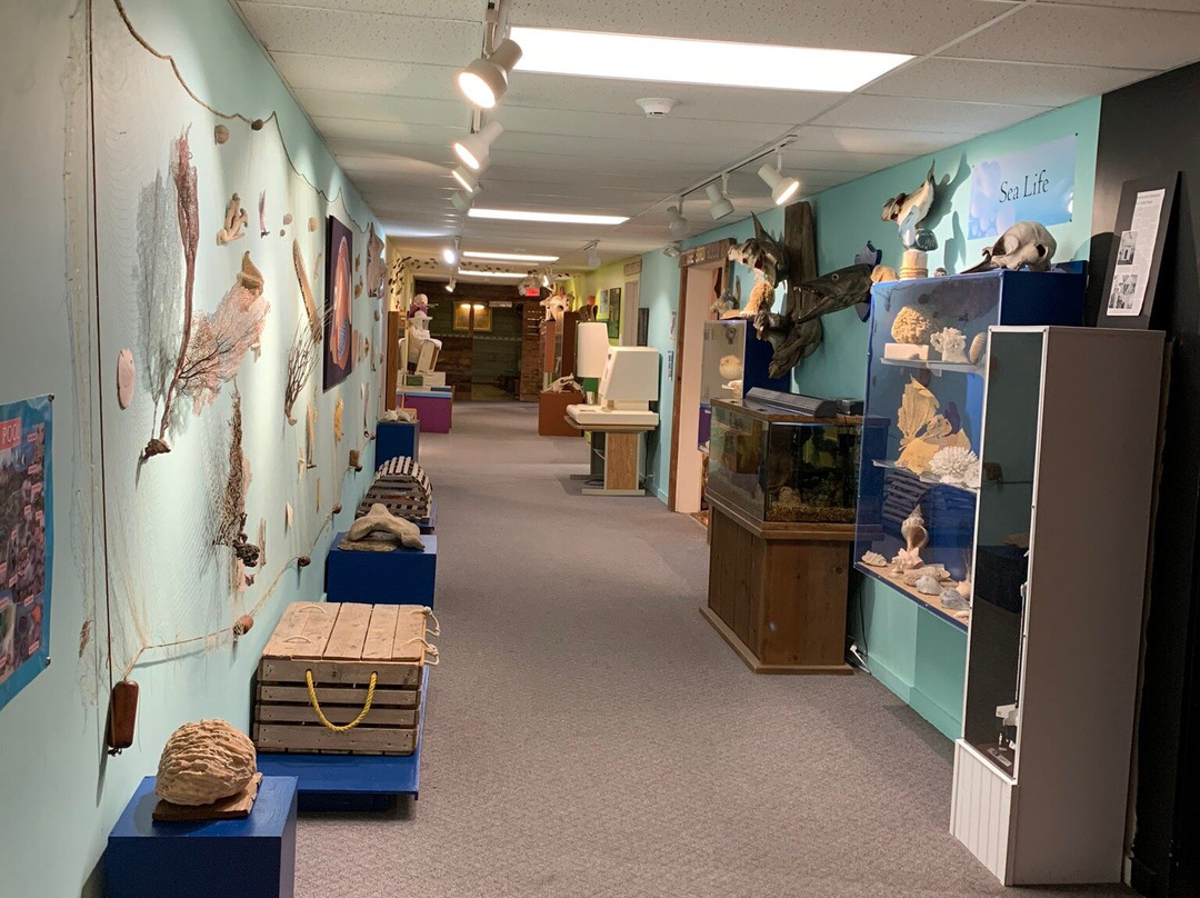 Children's Museum of Oak Ridge-橡树岭必去景点