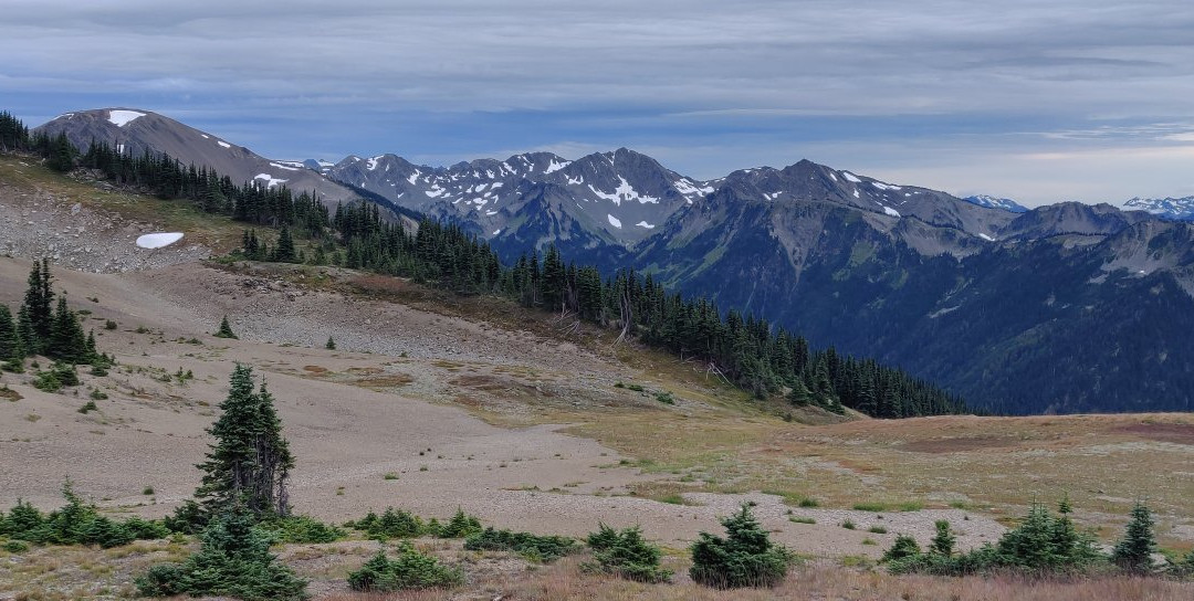 Obstruction Point Trailhead景点图片