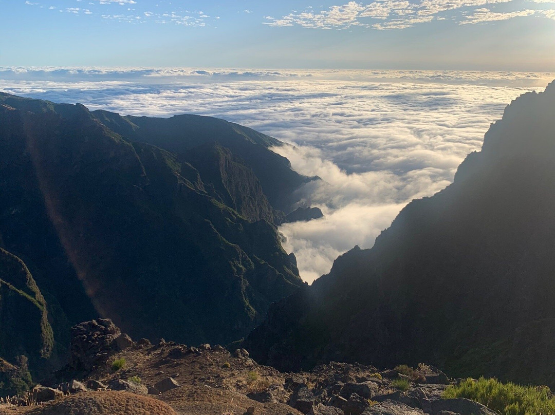 Madeira Wonder Hikes景点图片