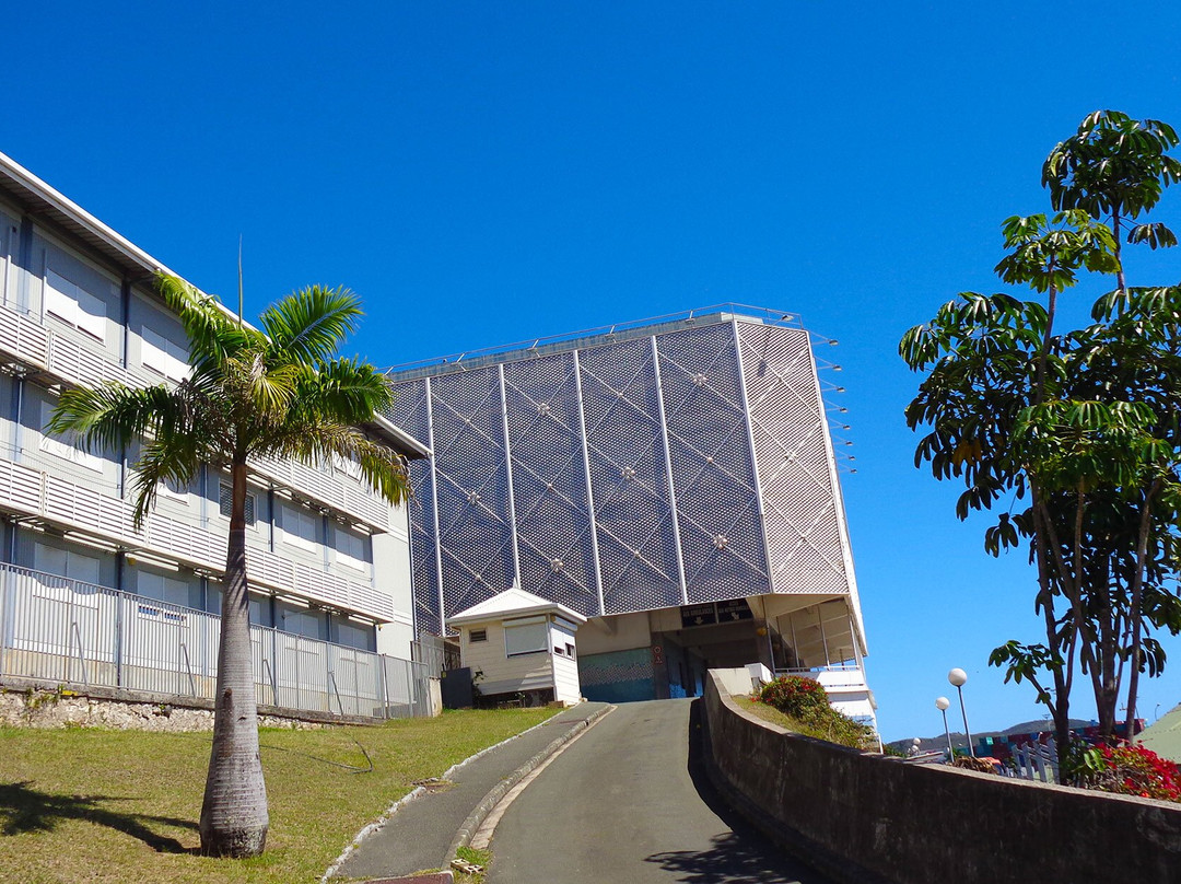 Karuia Bus-努美阿必去景点