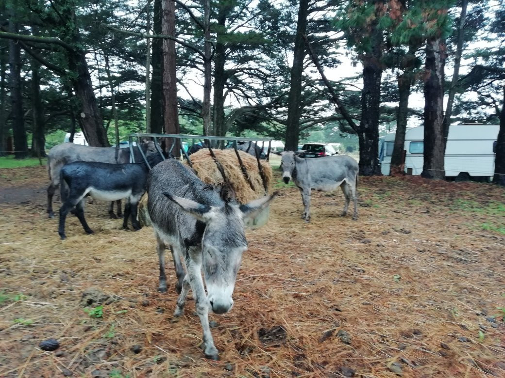 Les chambres de Kerael主图